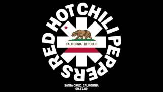 Red Hot Chili Peppers live Santa Cruz CA 9171989 FULL SHOW [upl. by Blinni]