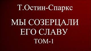 05МЫ СОЗЕРЦАЛИ ЕГО СЛАВУ ТОСТИНСПАРКС ХРИСТИАНСКАЯ АУДИОКНИГА [upl. by Jepson]