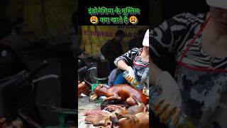 Indonesia muslim what they eat  halal or haram  bat  dog  islam  short fact  shorts [upl. by Metzger]