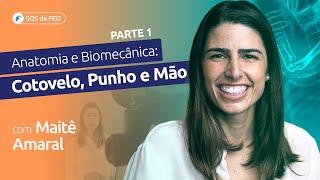 16  Cotovelo Punho e Mão Entendendo a anatomia e Biomecânica Parte 1 [upl. by Ormsby]