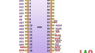 8088 Pin Diagramहिन्दी [upl. by Platon]