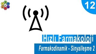 FARMAKODİNAMİK SİNYALLEŞME 2  Hızlı Farmakoloji 12 [upl. by Nagoh]