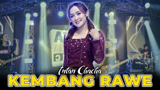 Intan Chacha  Kembang Rawe  Duta Nirwana Music OFFICIAL [upl. by Ellerehs429]