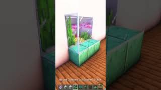 Minecraft Axolotl Aquarium🐠 shorts [upl. by Oiramaj991]