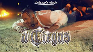 Indiomar x MUSIKO  A Ciegas Video Oficial [upl. by Erhard]