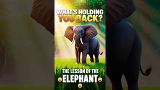 The Elephant’s Rope A Story That Will Change How You Think 🐘 ✨ youtubeshorts lifelesson shorts [upl. by Enirahtac100]