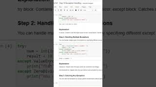 Exception Handling  Try and Except  100 Days of Python Programming  Day10 shorts [upl. by Firmin3]