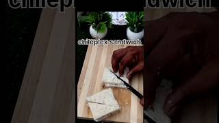 Chilli flakes sandwich newRecipe shorts sandwich food recipe Rajuchef cooking [upl. by Wellington730]