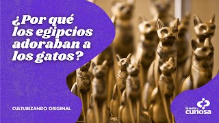 ¿Gatos eran sagrados para los egipcios [upl. by Dewhurst788]