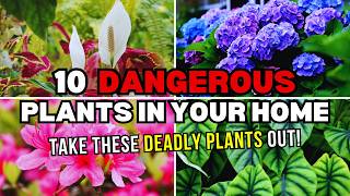 10 DEADLY Plants Lurking In Your Home  Dangerous Plants In Your Home [upl. by Goat]