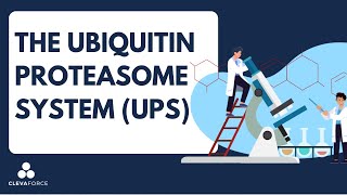 The UbiquitinProteasome System UPS​ [upl. by Emory]