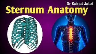 Sternum Anatomy Part 1 Manubrium body of sternum  Xiphoid Process [upl. by Varden51]