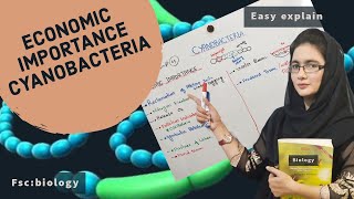 ECONOMIC IMPORTANCE OF CYANOBACTERIA class 11 fscpart1urdu hindi [upl. by Ashlan]