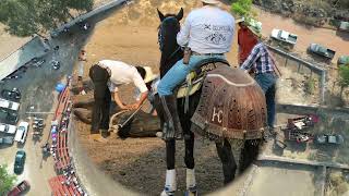 Gran Jaripeo 2024 Araró Mich [upl. by Childs]