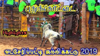 புதுக்கோட்டை வடசேரிப்பட்டி ஜல்லிக்கட்டு 2019 Pudhukottai Vadaseripatty Jallikattu 2019 Highlights [upl. by Otreblif704]