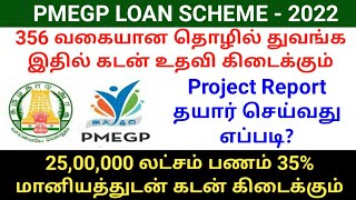 PMEGP Loan Scheme Eligible Business 2022  PMEGP loan project report  PMEGP loan apply online [upl. by Sigismond294]