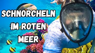 Ägypten Urlaub 2024  Heute gehen wir zum Schnorcheln ins Rote Meer 🐠 [upl. by Dream]