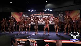 First Call Outs Open Bodybuilding  2019 IFBB Professional League Chicago Pro [upl. by Warfield518]