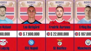 Norway  National Football Team 2023 [upl. by Gena]