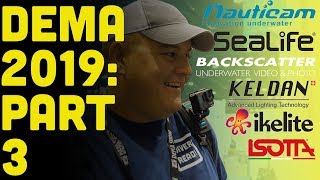 DEMA 2019 Part 3 UW Photography and Lighting [upl. by Lennor]