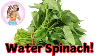 Health Benefits of Water Spinach [upl. by Pierrepont322]