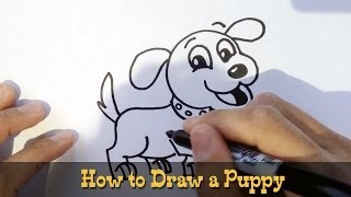 How to Draw a Puppy [upl. by Kariv]