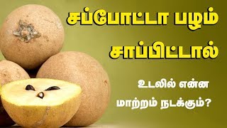 Sapota Fruit Health Benefits  Chikoo Fruit  Tamil Health Tips [upl. by Ripp]