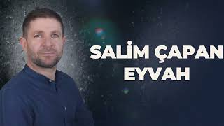 Salim Çapan  Eyvah  Yeni 2024 [upl. by Laenahtan468]