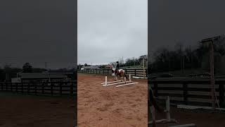 Jazzy  owner 2 Isis horse equestrian [upl. by Keffer]