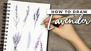 How to Draw Lavender Flowers  DOODLE WITH ME  Tutorial [upl. by Audrye]