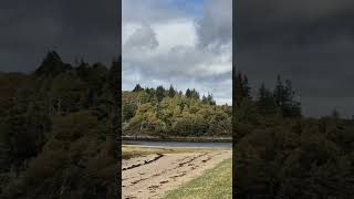 A beautiful lunchtime in Ardnamurchan scottishcastle scotland highlands [upl. by Fay]