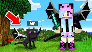 ICE DRAGON Armor Speedrunner vs Hunter in Minecraft [upl. by Yklam894]