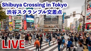 LIVE Shibuya Crossing in Tokyo 渋谷スクランブル交差点ライブカメラ [upl. by Niatirb]