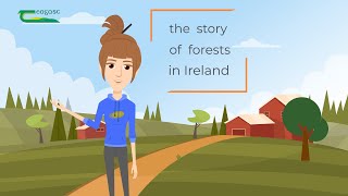 Ireland’s trees our heritage 10000 years in the making [upl. by Nobile]