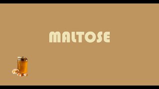 MALTOSE [upl. by Femi176]