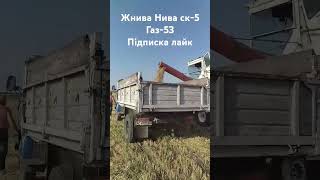 ЖниваНива ск5 Газ53 automobile farming garden rek agriculture farmer lettuce disco [upl. by Allebara]