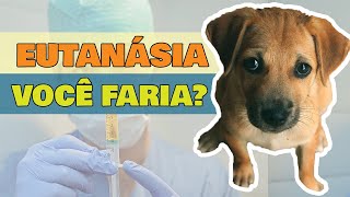 EUTANÁSIA EM ANIMAIS  FAZER OU NÃO [upl. by Lopes]