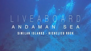 Liveaboard Andaman Sea  Similan Islands  Richelieu Rock  Thailand 2024 [upl. by Horan]