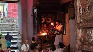 031124SundayBhaidhuj tithiLions gate opening ceremony of Puridham Jai Shri Jagannath Swami 🙏 [upl. by Burtie345]