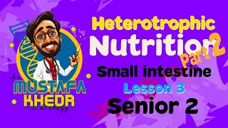 Biology  heterotrophic nutrition  part 3  small intestine [upl. by Assilem96]