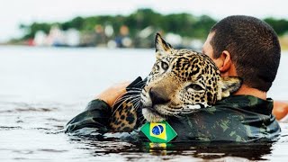 20 Mensen Die Levens Van Dieren Redden Vastgelegd Op Camera [upl. by Buna]