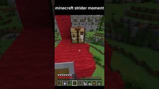 strider minecraft pvplegacy memes shorts [upl. by Christabelle32]