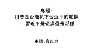 【袁紅冰縱論天下】專題：川普是否能扒下習近平的底褲——習近平是硬漢還是孬種 11232024 [upl. by Bevvy]