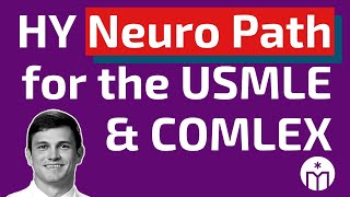 High Yield Neuro Pathology for the USMLE Steps 1 amp 2 CK and COMLEX Levels 1 amp 2 CE [upl. by Sink]