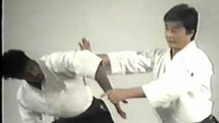 Aikido  7Th Dan Yoshimitsu Yamada  Instructional Videompg [upl. by Nahsaj]