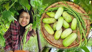 Organic တို့စရာလေးတွေခူးပြီး အမိုးနဲ့အတူငါးကြော်လေးနဲ့ ငါးပိထောင်းနဲ့ ထမင်းမြိန်မယ်😋🥰 [upl. by Airetahs]