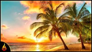 Island Reggae Music  Upbeat Tropics  Tropical Island Beach Music [upl. by Nylaras535]