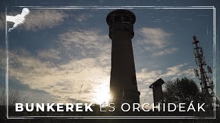 Bunkerek és orchideák｜Vasfüggöny túra az esztergomi Strázsahegyen｜HD [upl. by Sawyer]