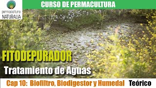 DISEÑO un TRATAMIENTO NATURAL de AGUA  Fitodepuración de Agua NEGRA y GRIS  Biofiltro y Lagunaje [upl. by Burg431]