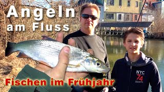 Angeln im Frühjahr  Fischen am Fluss Feistritz auf Nase und andere Fische [upl. by Rudd]